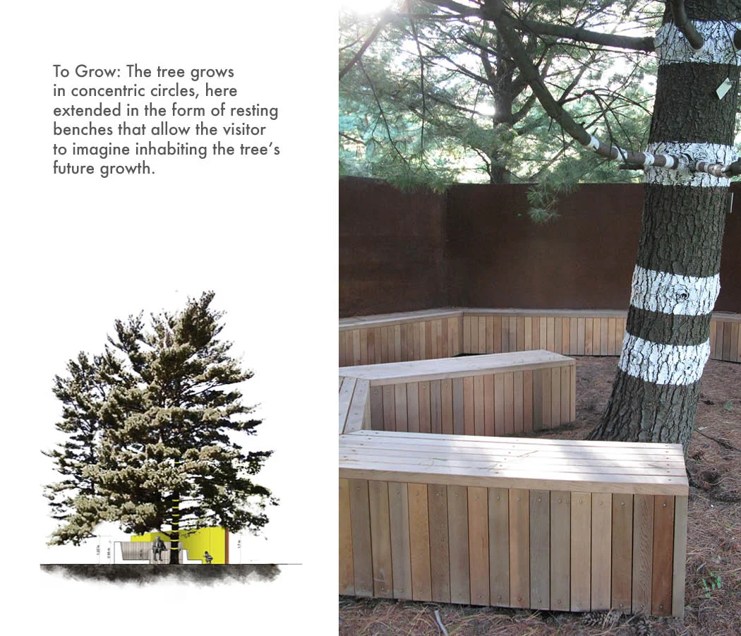 matyiku_arboretum3.jpg