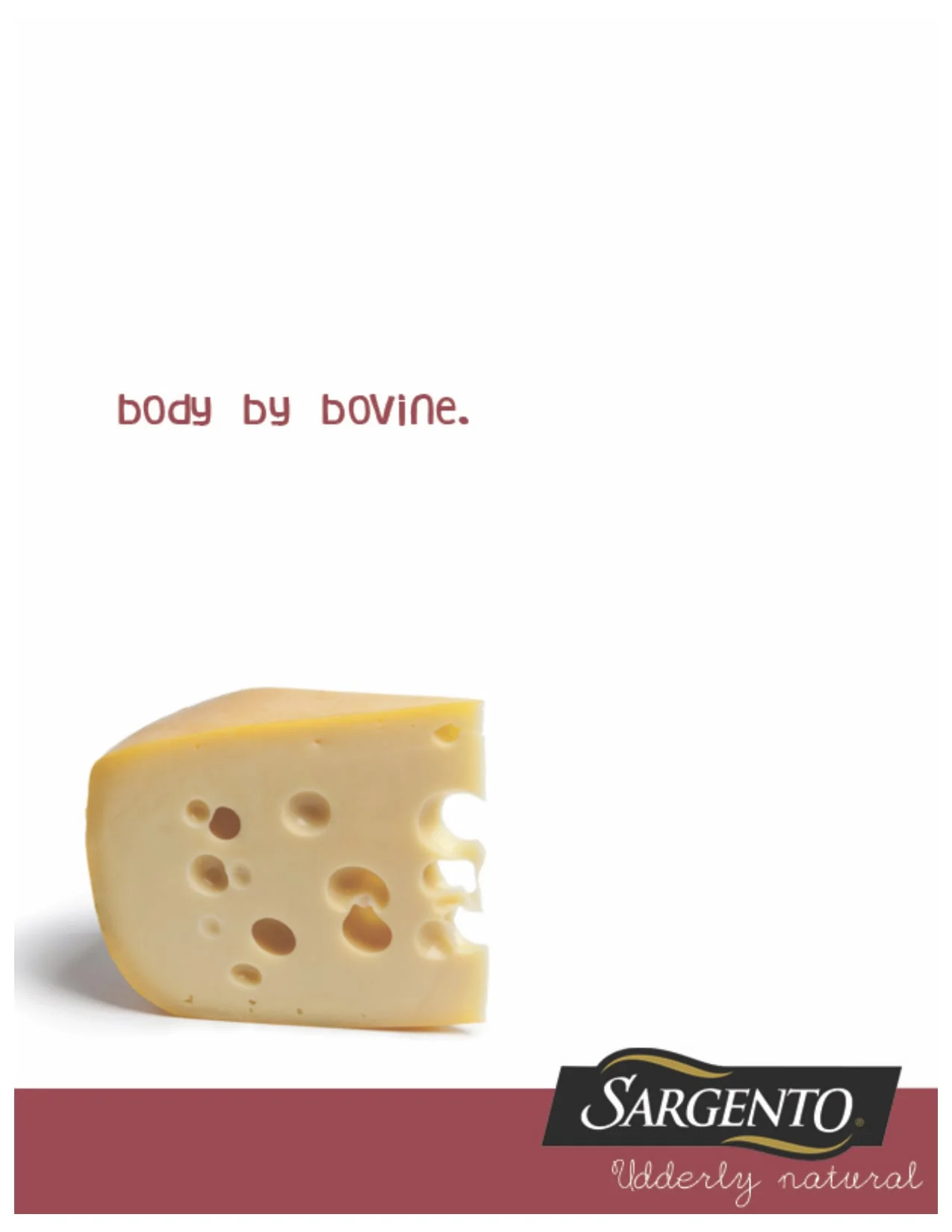 bovine sargento.jpg