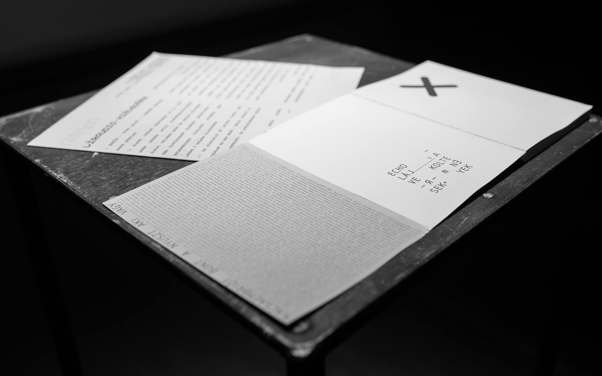31543078_881635135294494_6081501158004752384_o_BW.png