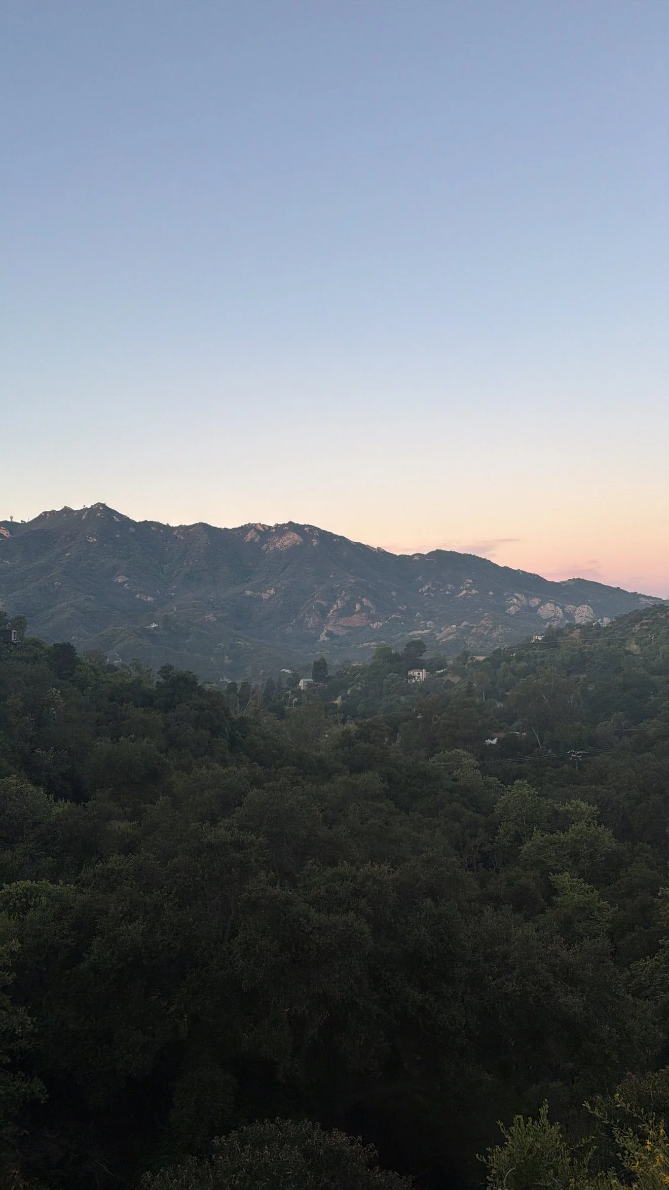 E705BA66-35BB-451A-A0D4-E867B503E6E9.jpeg