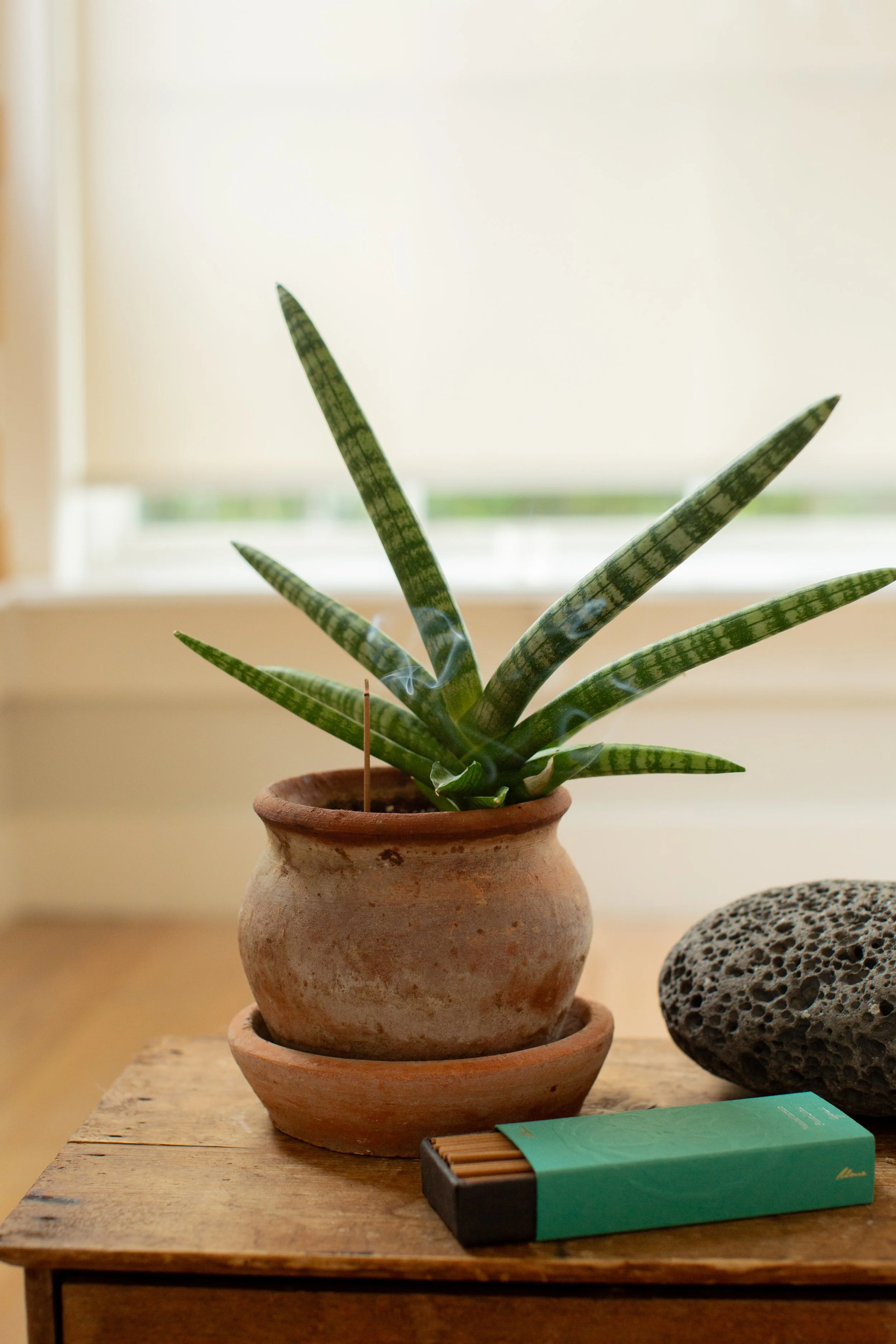 SUPTA SEPT 24-6102.jpg