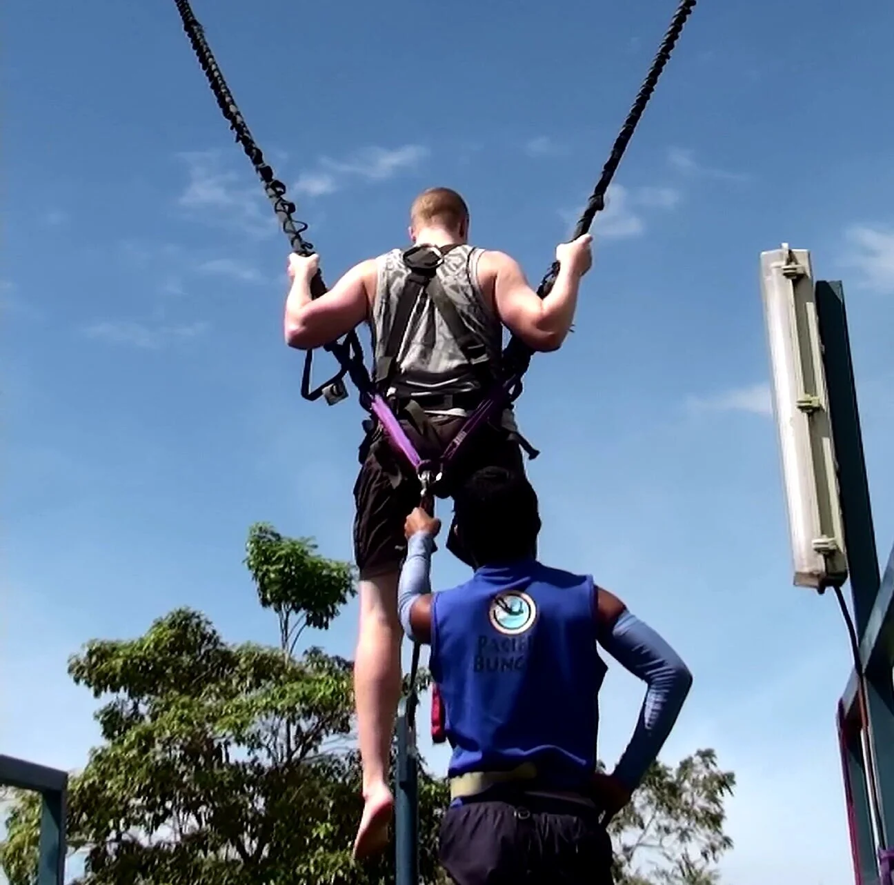 Bungee cord outlet harness