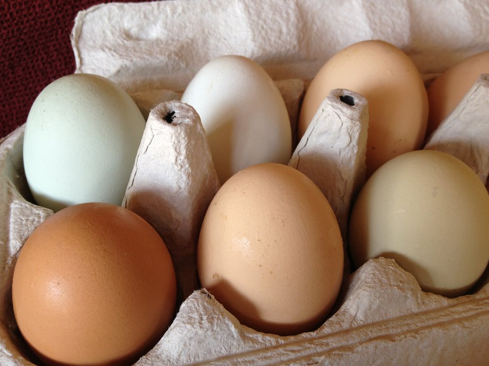 Farm Fresh Eggs Mountain Song Farms Farm Fresh Eggs Mountain Song Farms