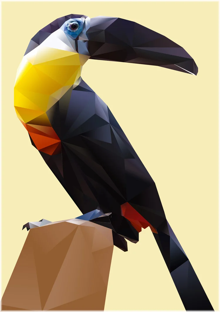 Toucan_polygon_750.jpg