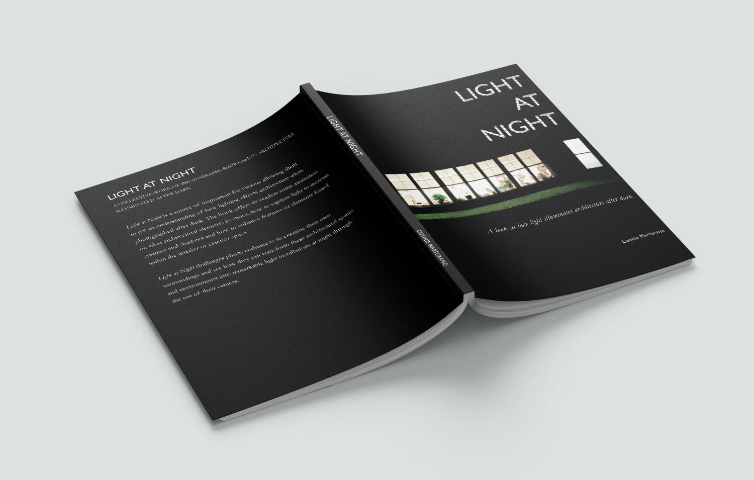 light_at_night_cover_back_spine.jpg