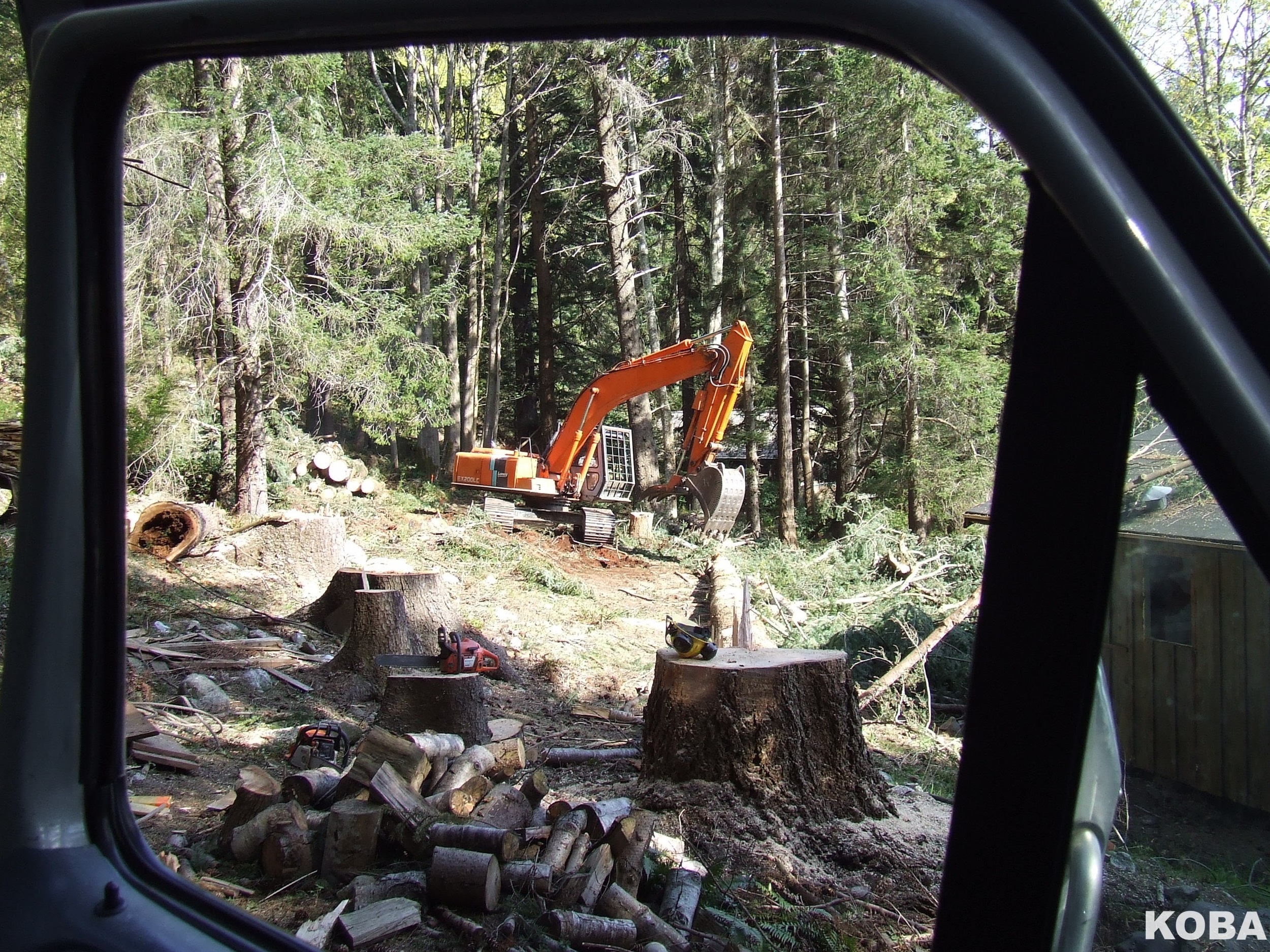 site prep and clearing.JPG