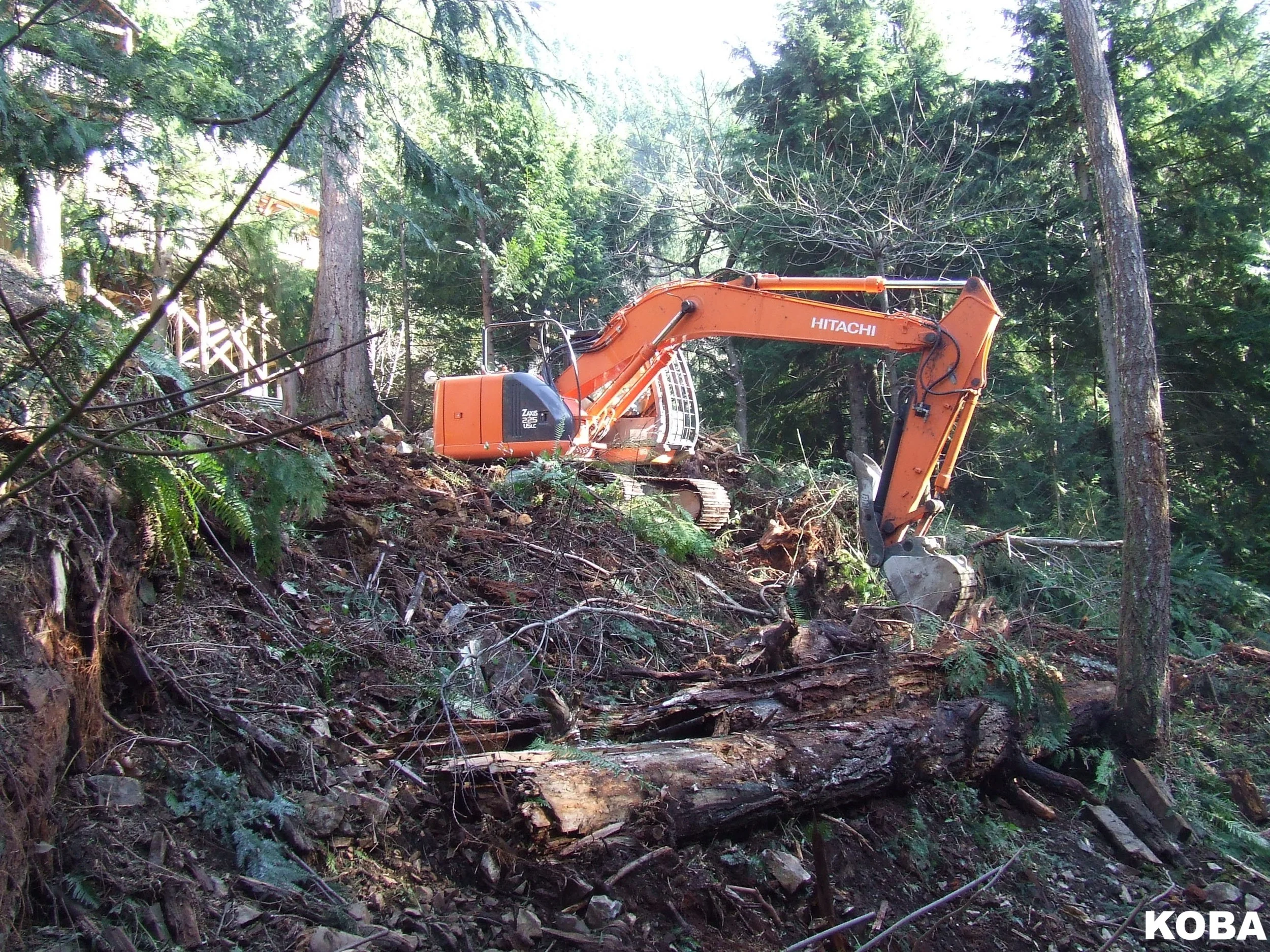 Site clearing 3.JPG