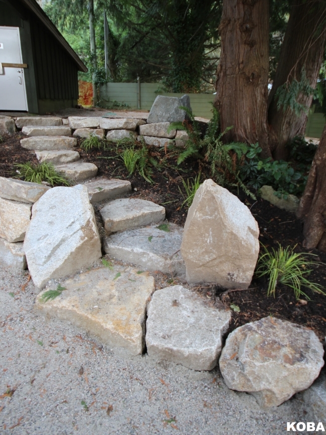 Landscape steps.JPG