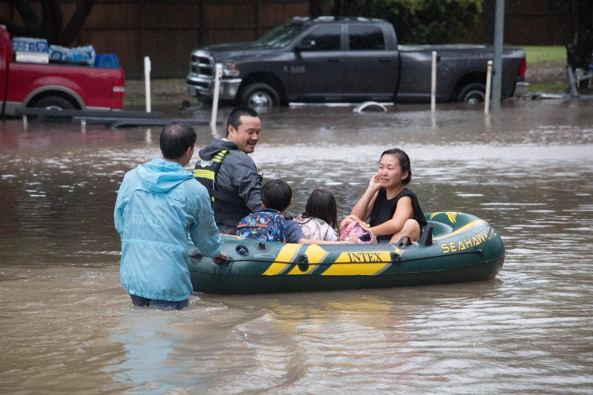 HARVEY.jpg
