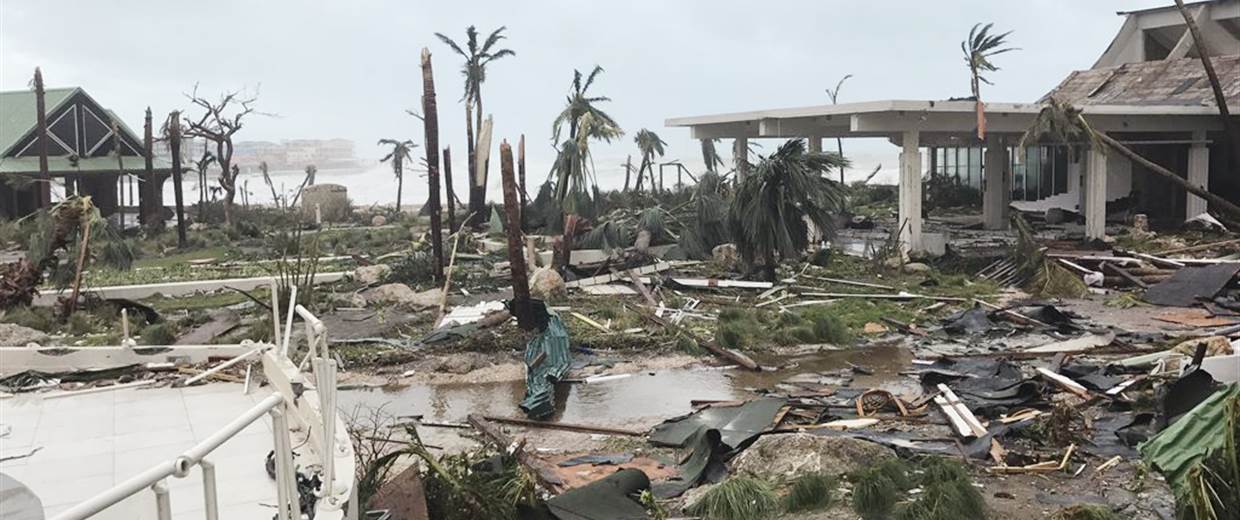 irma.jpg