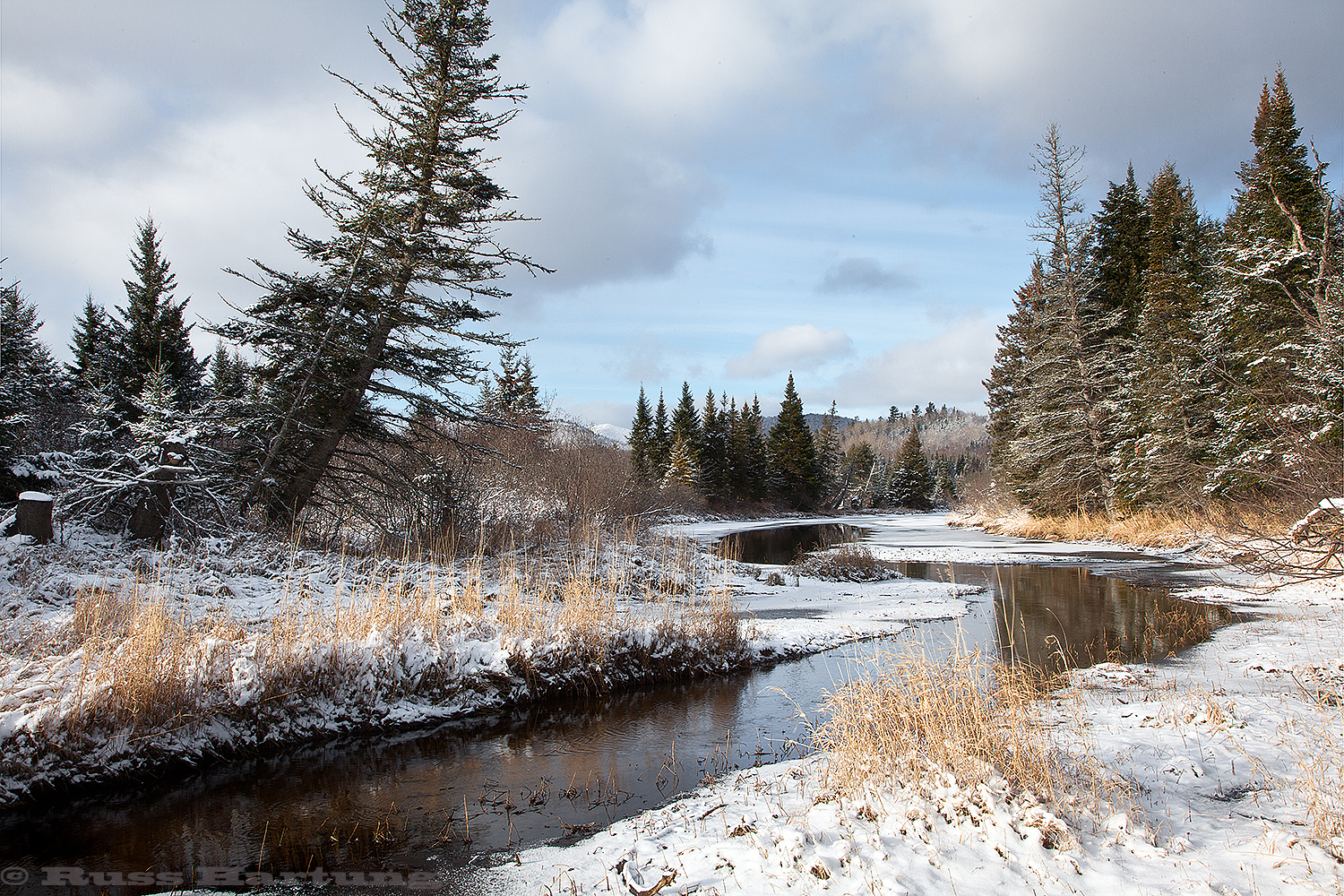 An early snow and a leaning pine tree near Lake Placid set off a stream as it disappears into the distant mountains.