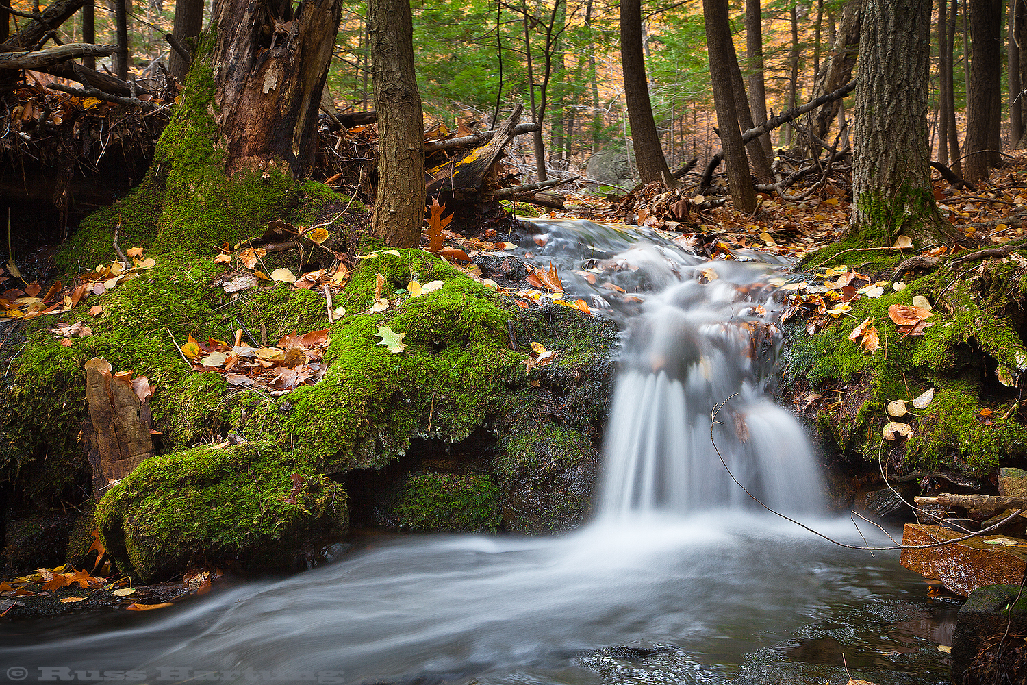 A mossy cascade along the Mossy Cascade trail on the way to Hopkins Mountain. 