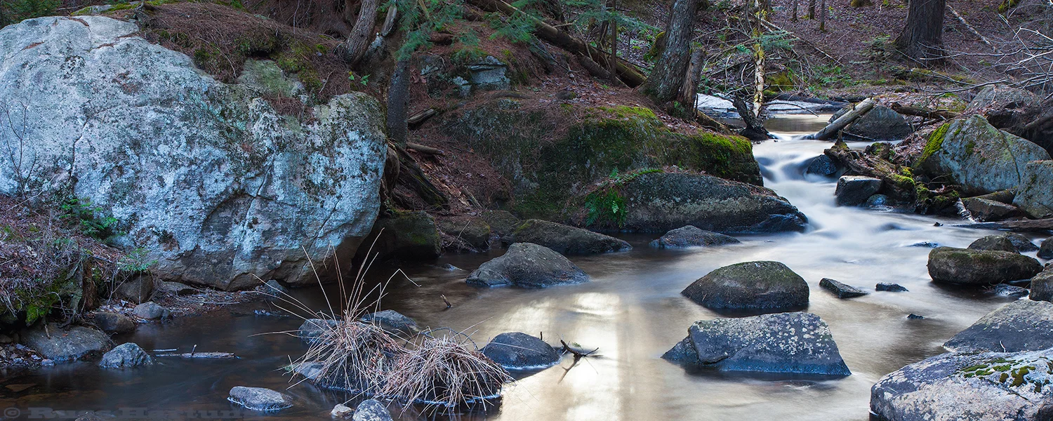 Barnum Brook at Paul Smith's VIC in the Spring.