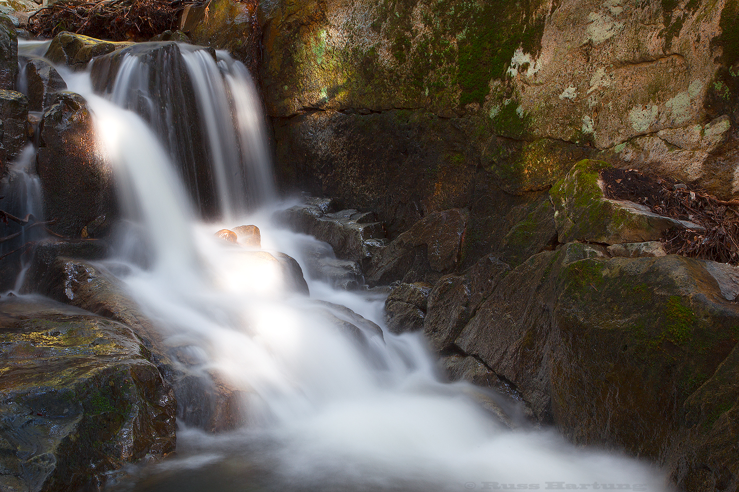 Spring runoff creates many intimate landscapes along the aptly-named Mossy Cascade trail. 