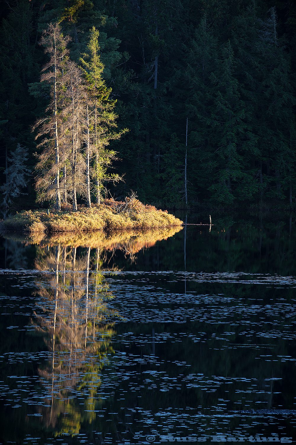 The last, warm rays of the sun shine like a spotlight on a small island on Poliwog Pond. 