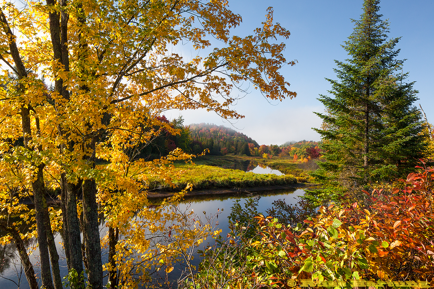 Peak Fall colors along Route 3 on the way to Saranac Lake. 