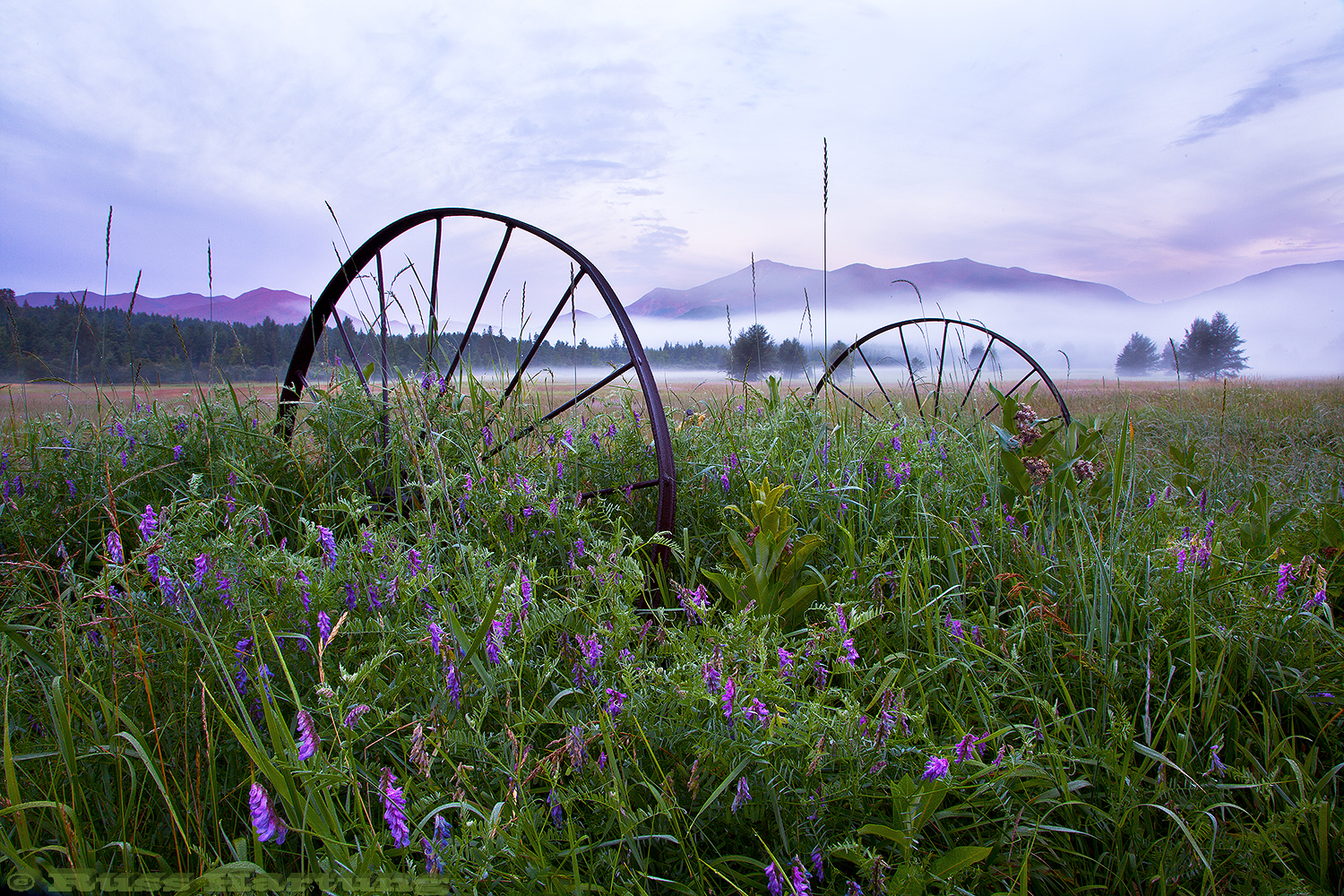 A old rusted farm vehicle in a meadow in Wilmington at sunrise. The Sentinel Range is in the background. 