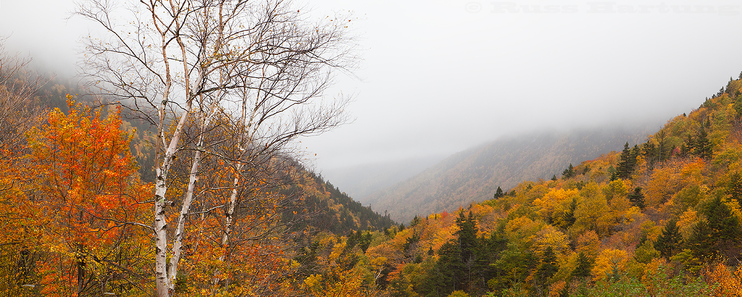 Misty afternoon during peak foliage season along Route 302 in the White Mountains of New Hampshire. 