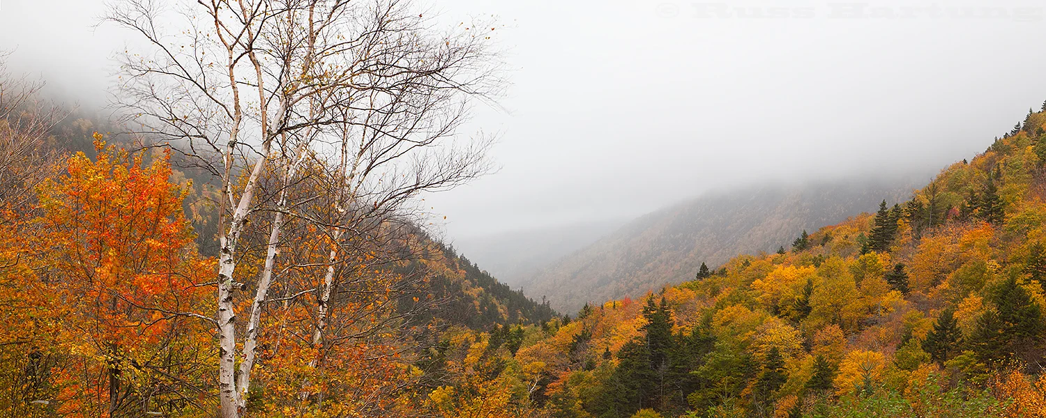 Misty afternoon during peak foliage season along Route 302 in the White Mountains of New Hampshire.
