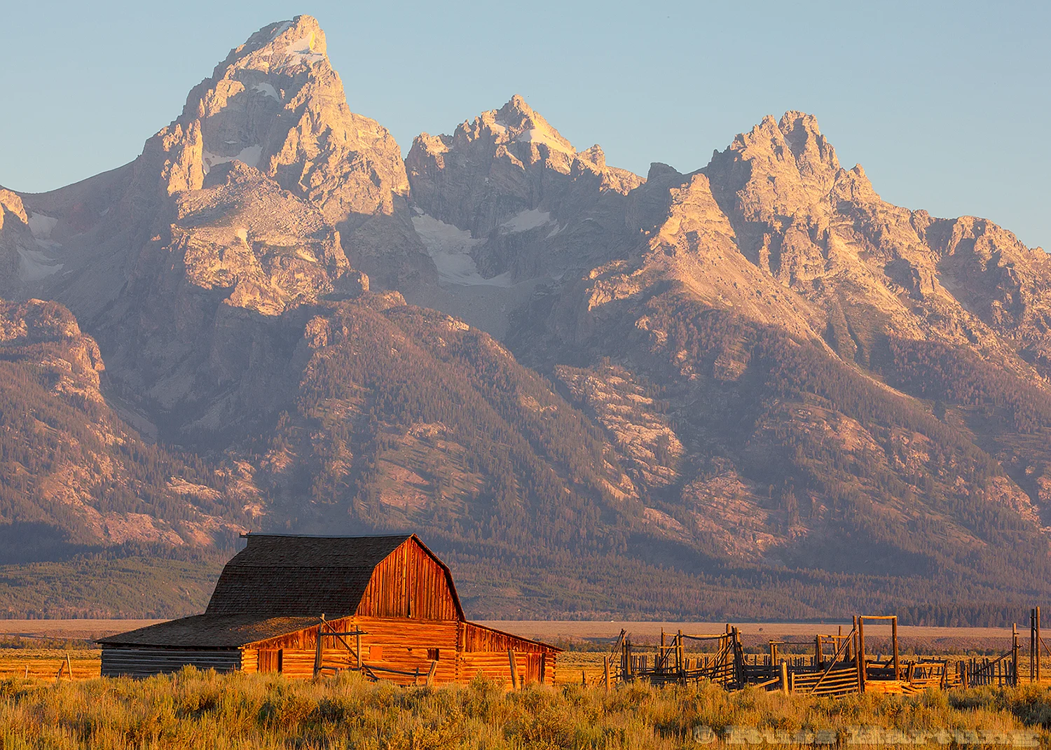 The iconic Mormon Barn at sunrise with Grand Teton in the background.
