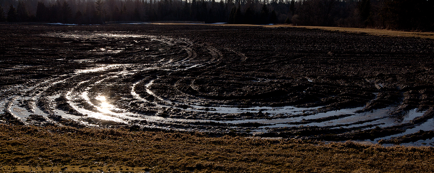 Tractor tracks make a graceful curve in a muddy farm field. 