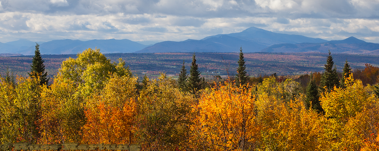 View of the High Peaks from the North. 