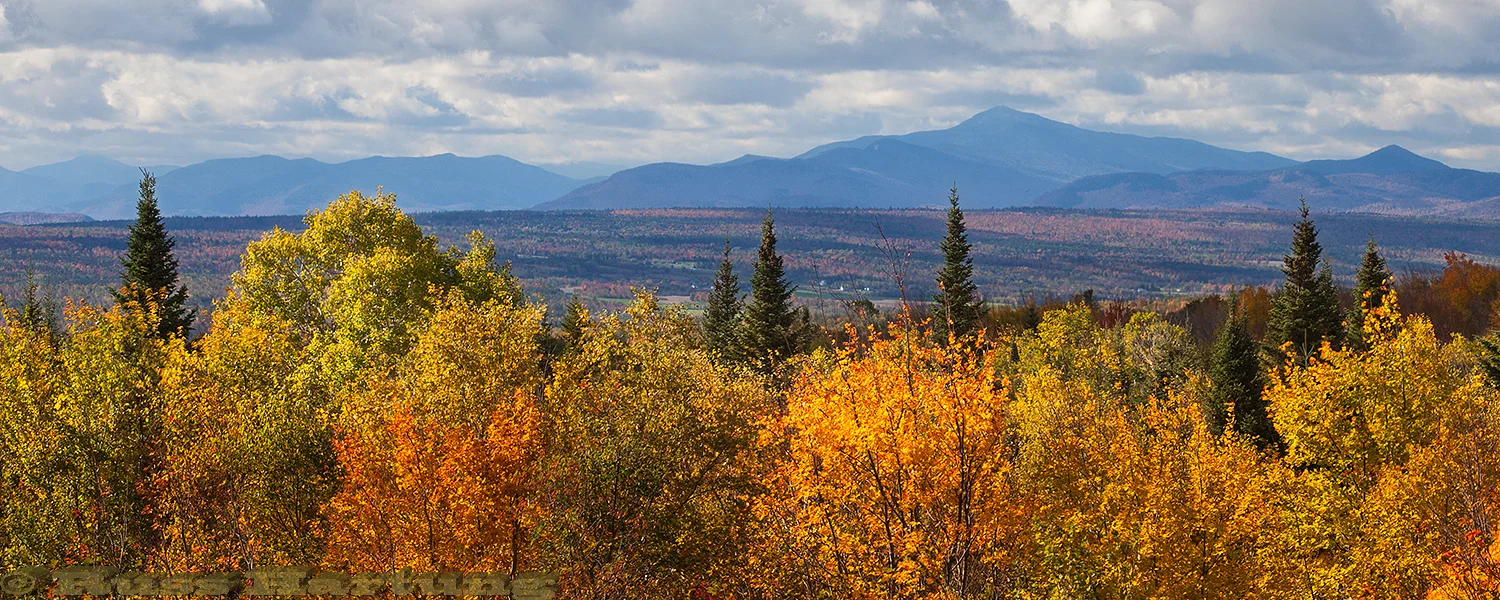 View of the High Peaks from the North.