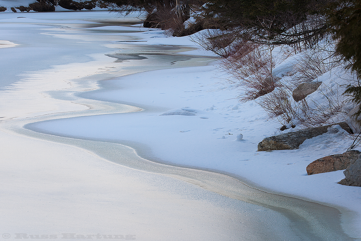 The golden light of early morning reflects a frozen stream glow. 