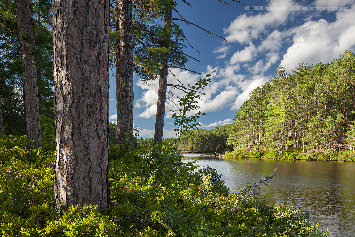 Looking back from a small point of land on a friend's property near Paul Smiths. This property has been in the same family for five generations. 