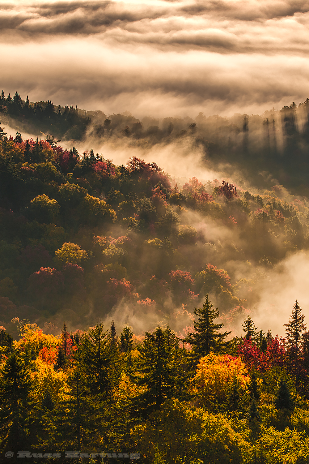 The low angle of the sun created tree shadows in the fog. A scene from the Goodnow Mountain fire tower. 