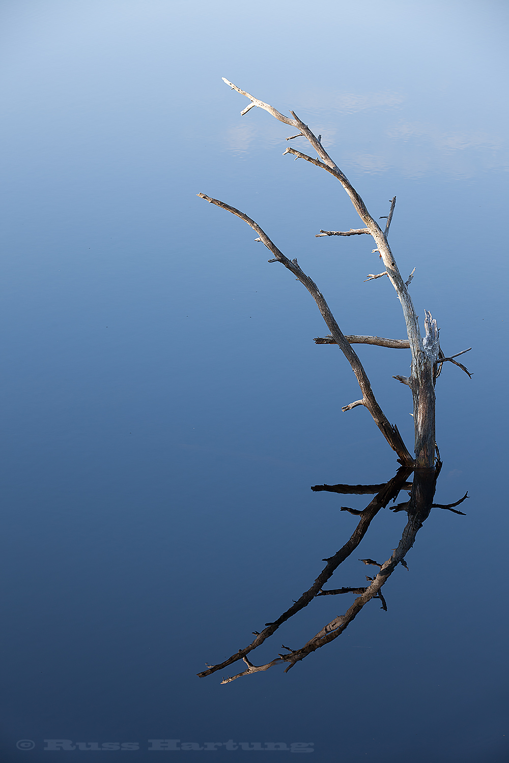 Simple composition of a dead tree limb on an Adirondack lake. 