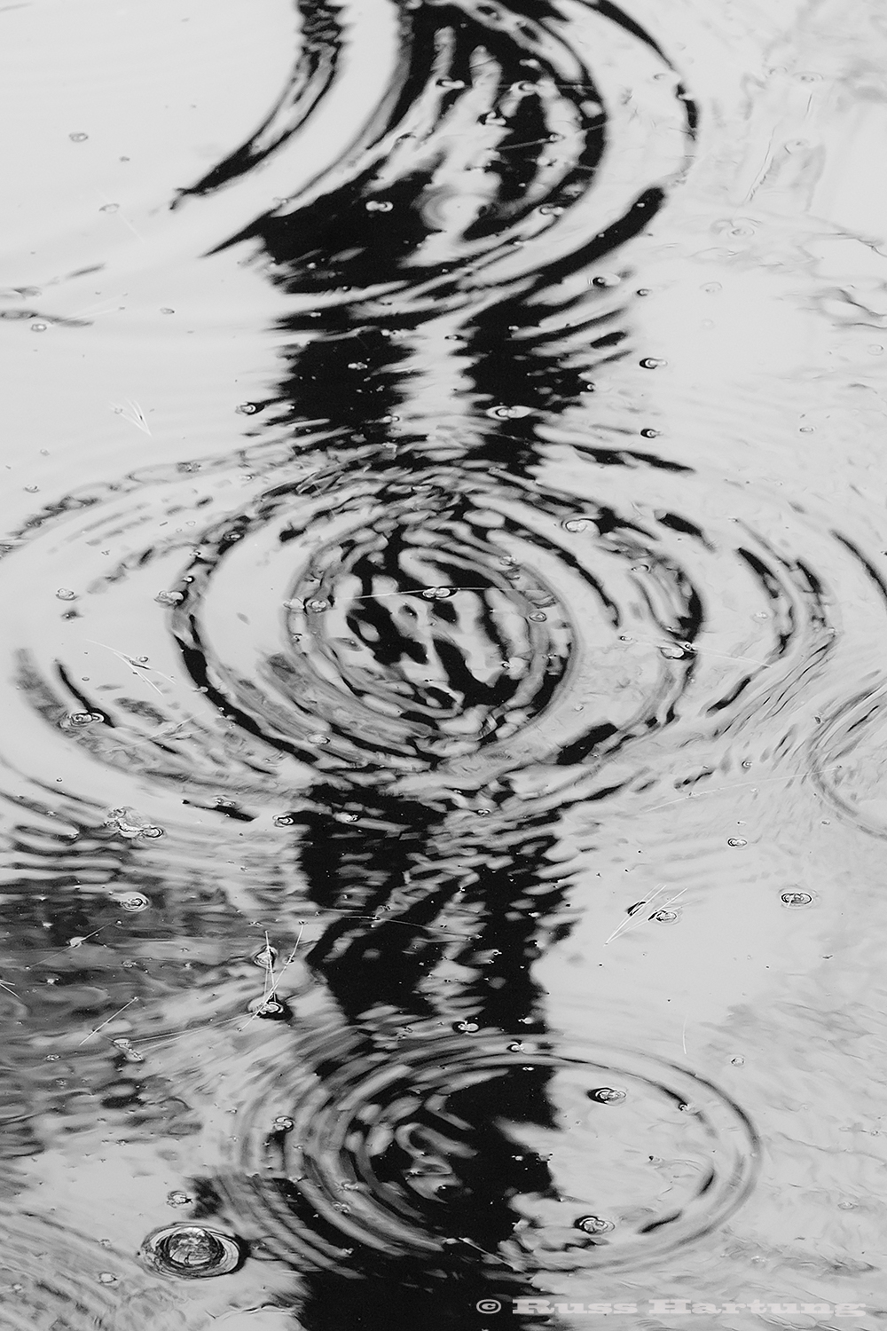 Raindrops create swirling ripples in a stream in the Adirondacks.