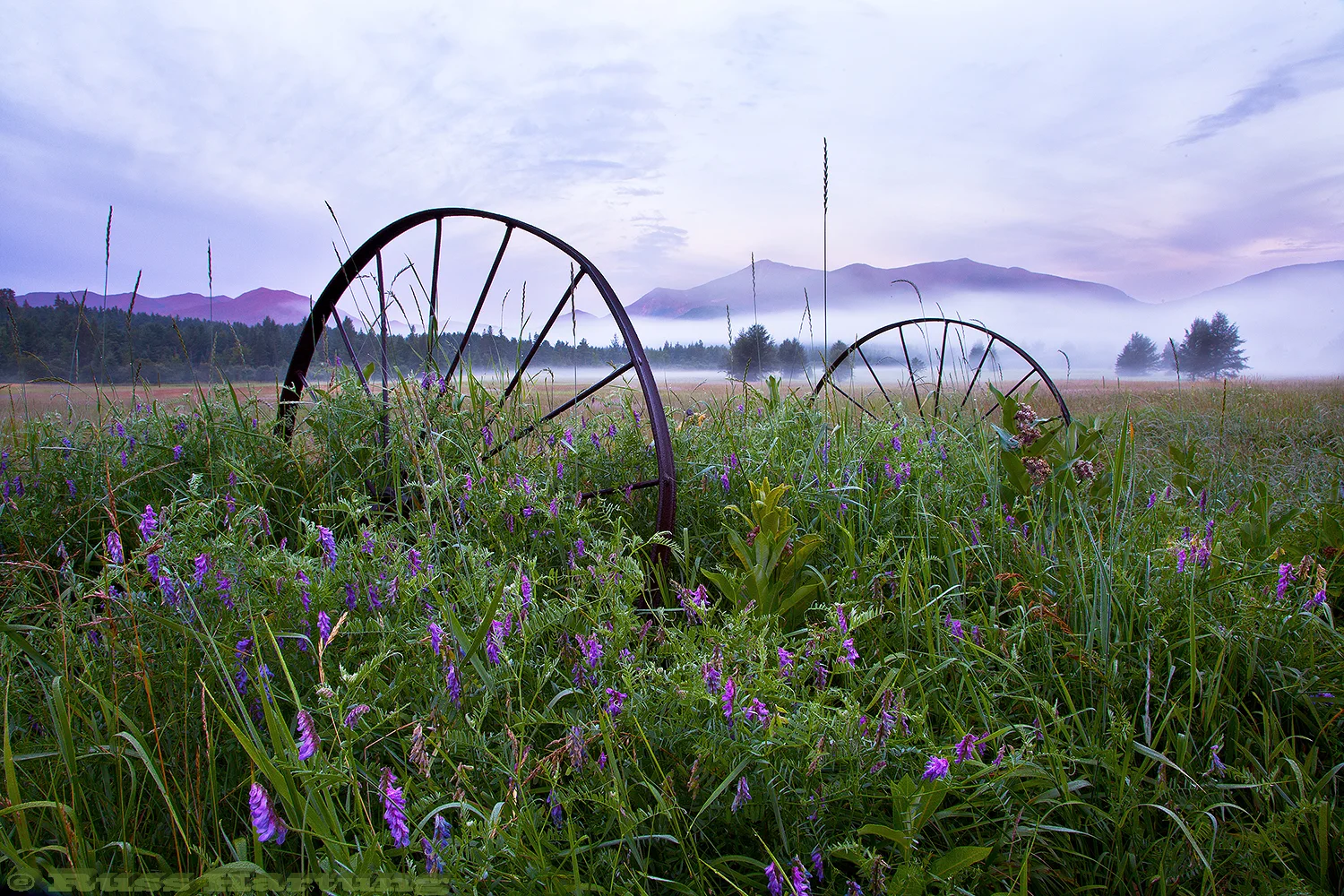 "View from the Wilmington Meadow at first light" - Published by Adirondack Mountain Club in their 2018 calendar.