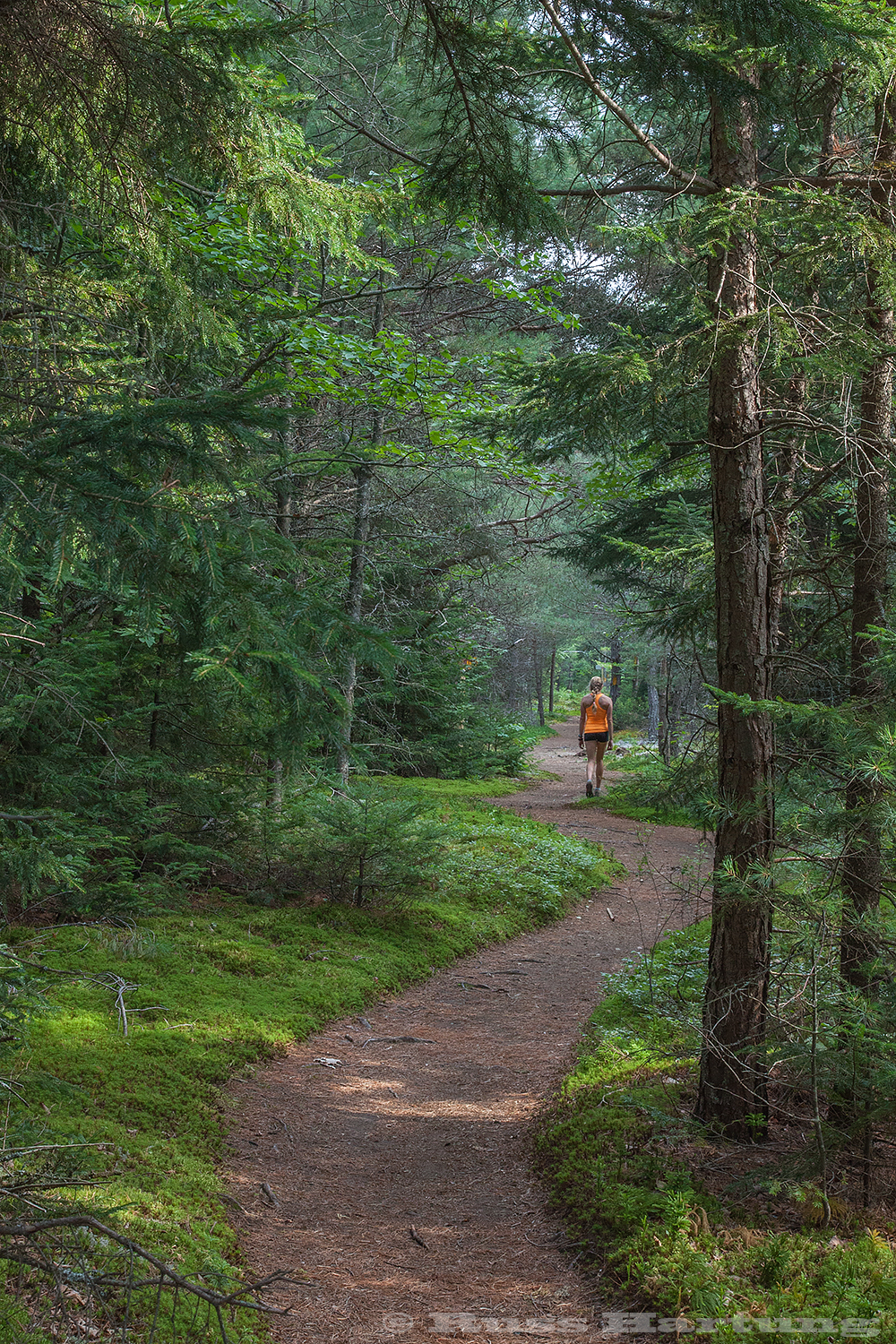 Hiking on the trail to Mount VanHoevenberg. 