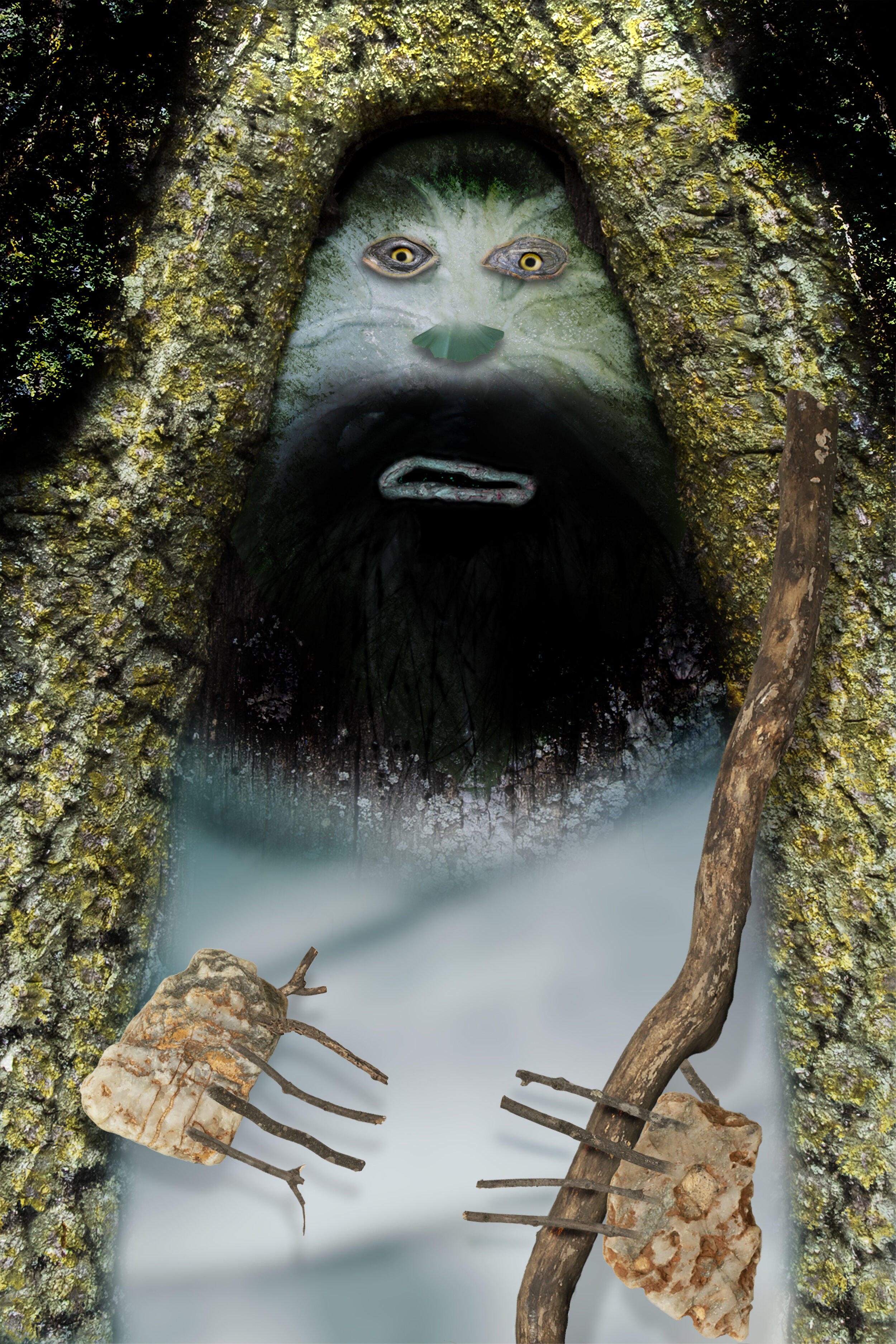 Wild Man by Chris Howes