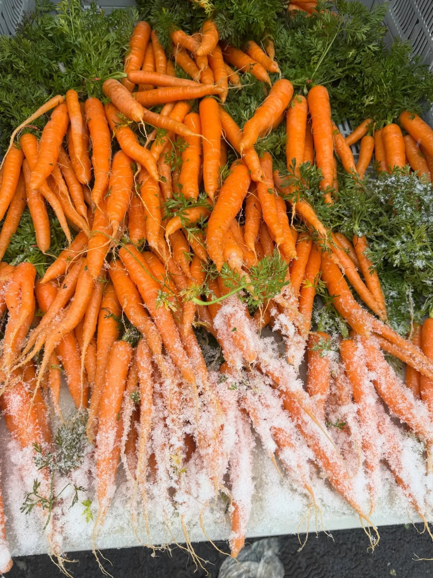 New York in the snow is a top New York for me