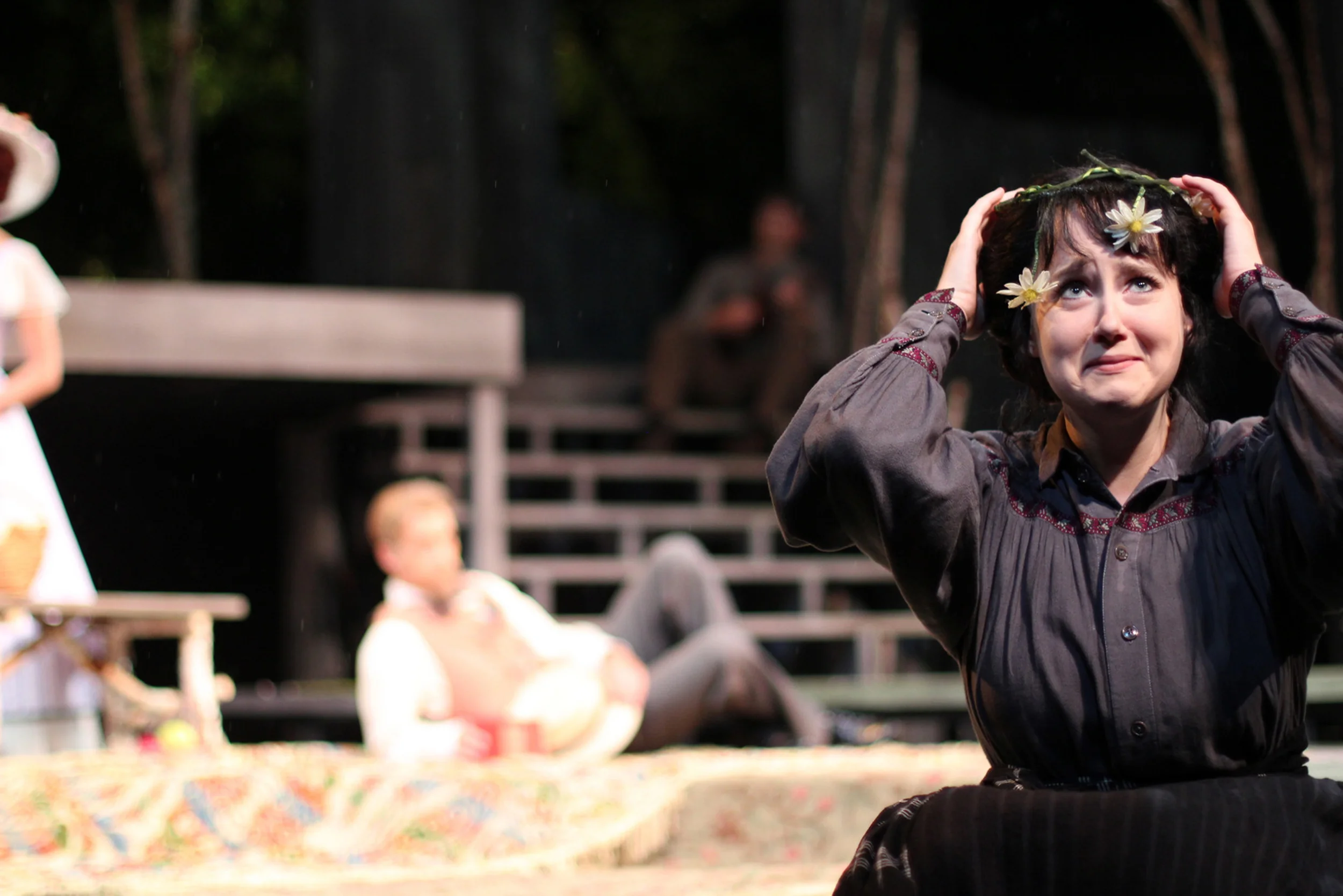   American Players Theatre - Spring Green, WI    Costume Design – Holly Payne    Scenic Design – Nayna Ramey    Lighting Design – Michael A. Peterson  