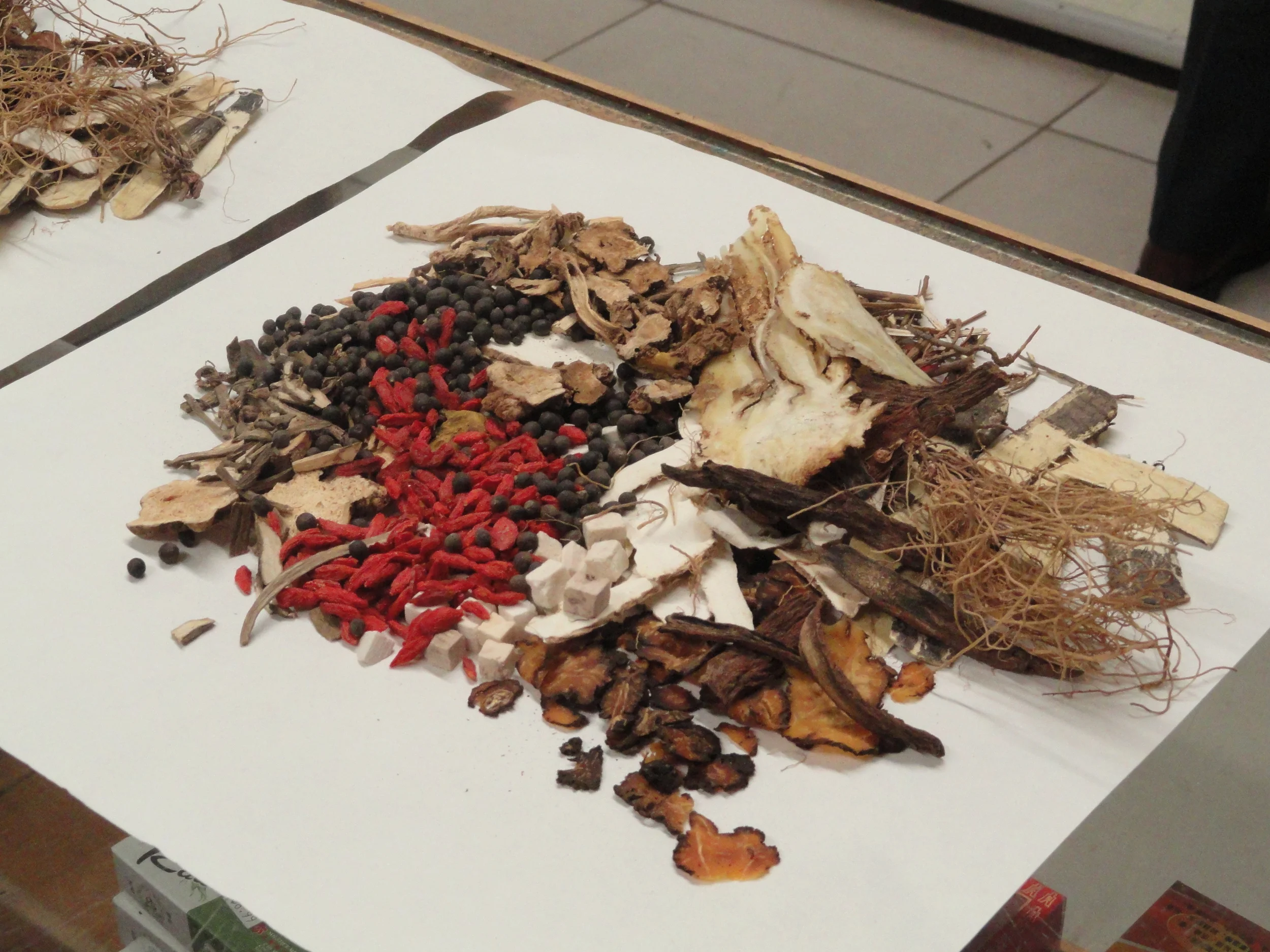 herbs on paper 1.JPG