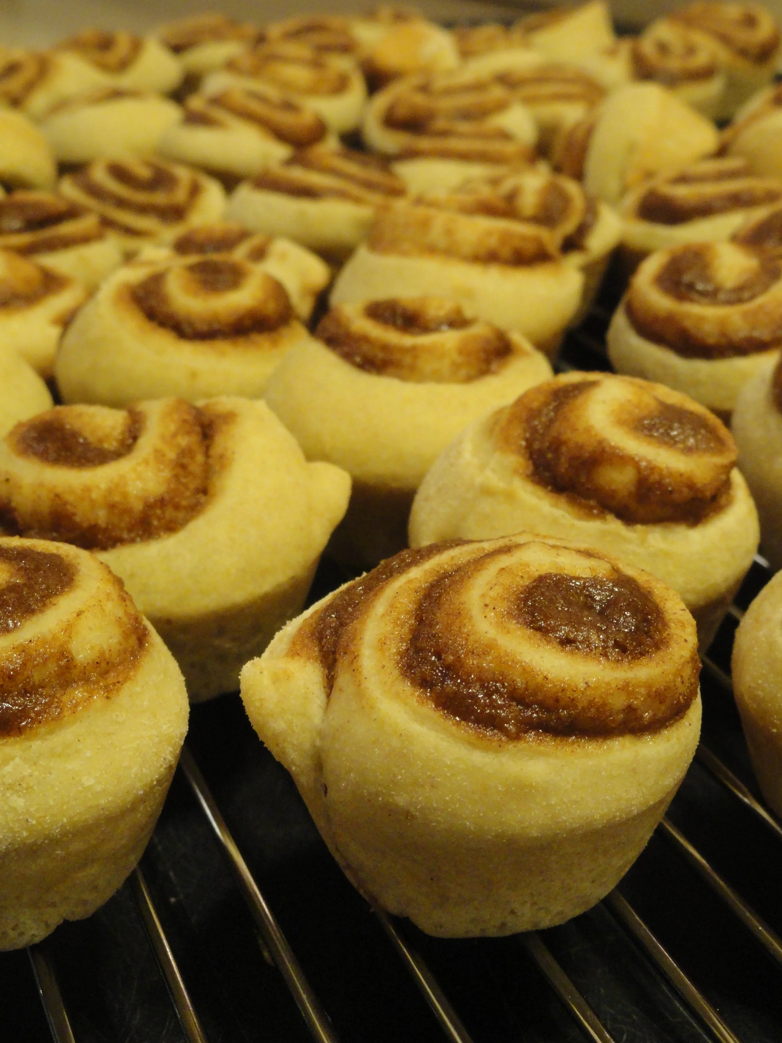 cinn rolls uniced trays 3.JPG