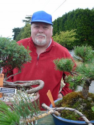 Berg's Bonsai