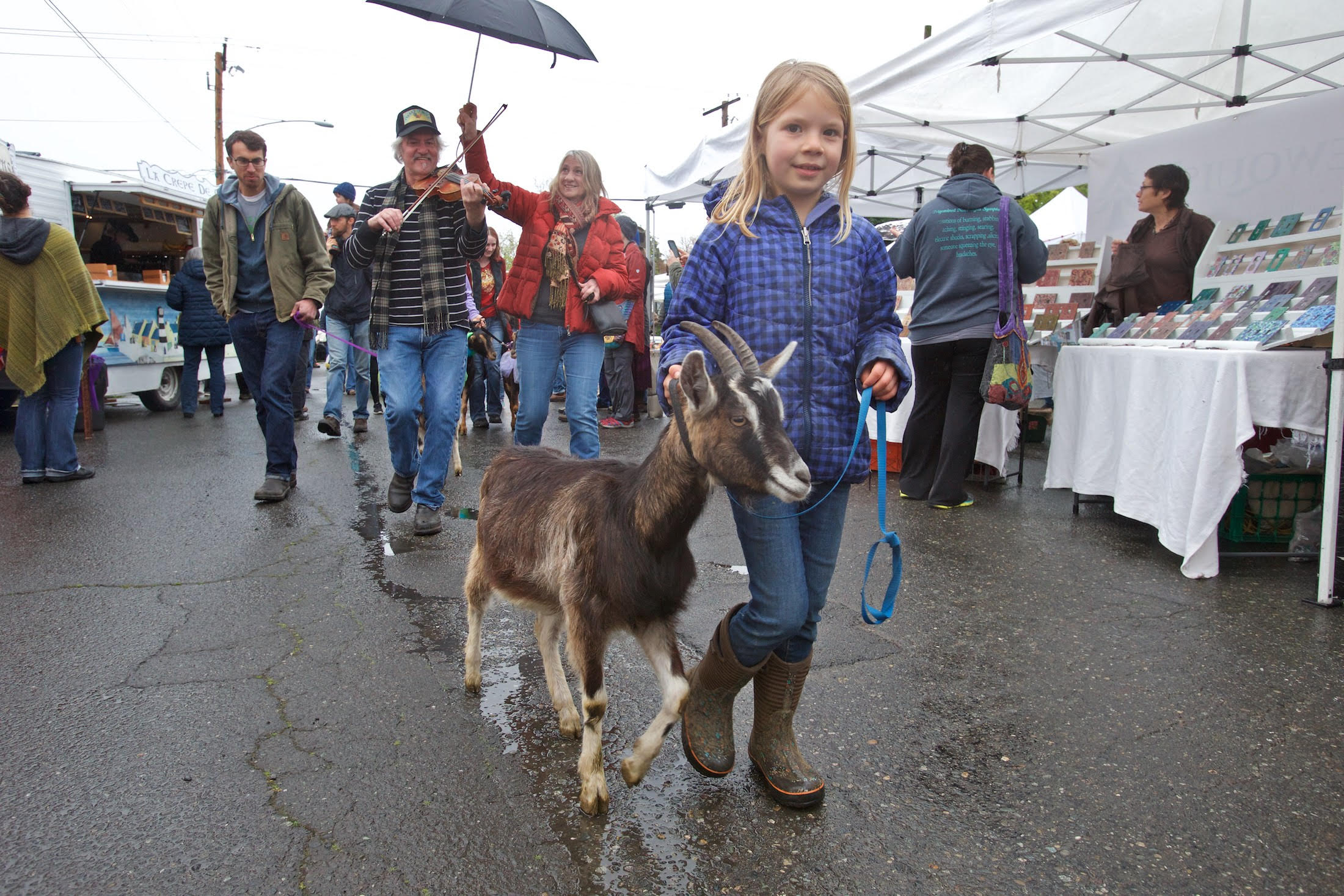 Goat parade photo by Steven Mullensky