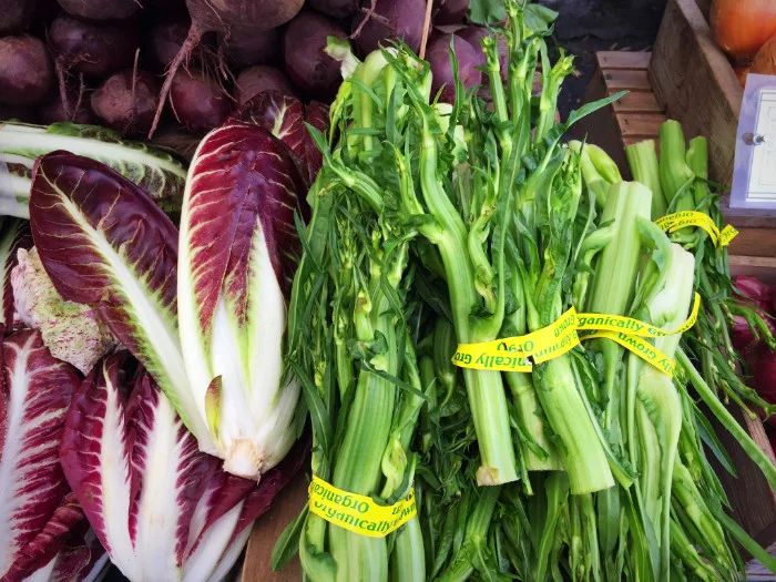 Fall Veg.jpg