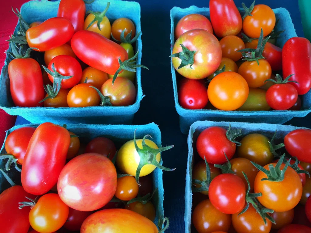 Serendipity Farm tomatoes!
