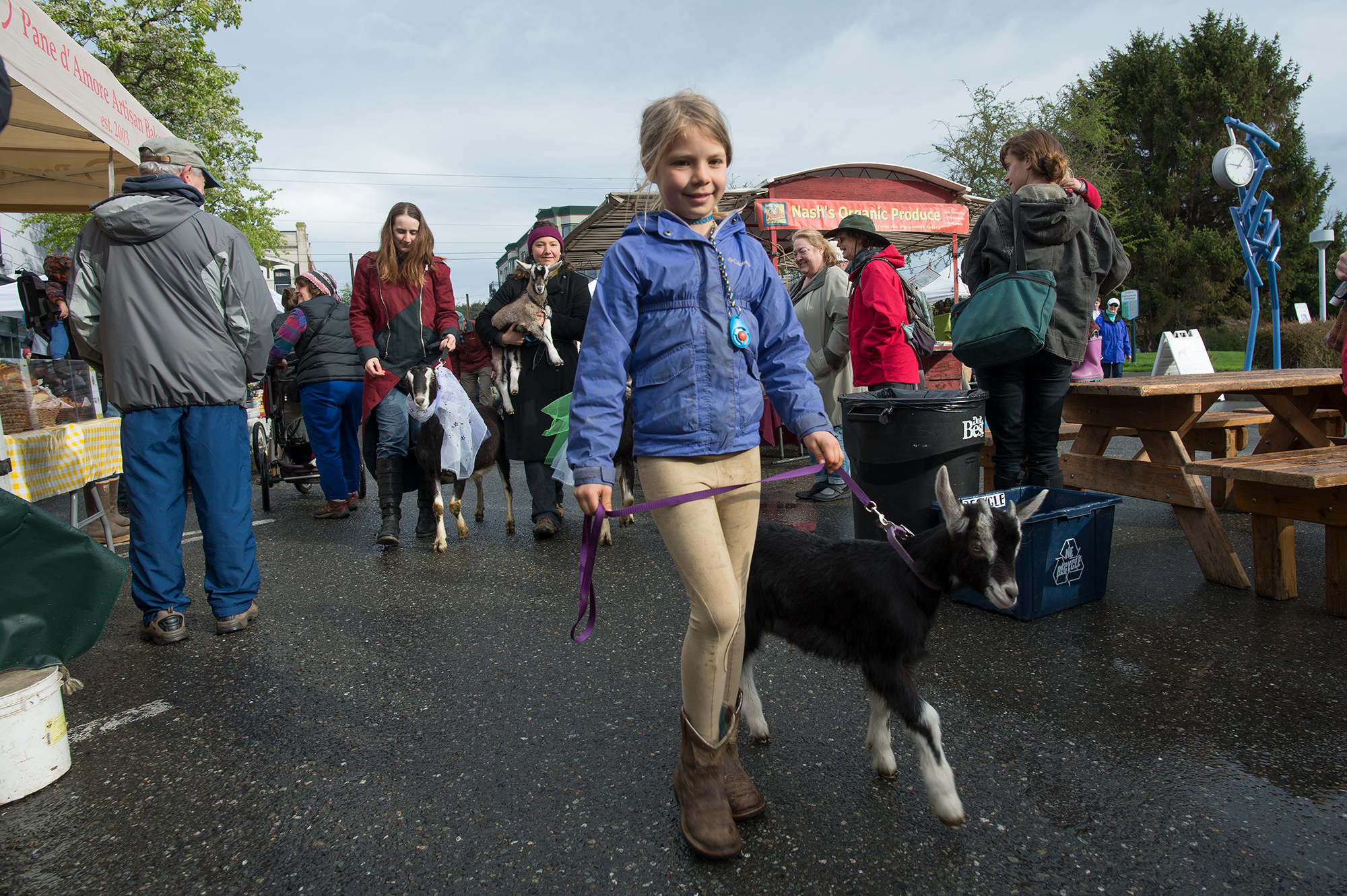 Cora, Mystery Bay Farm, Opening Day 2018. Photo by David Conklin.