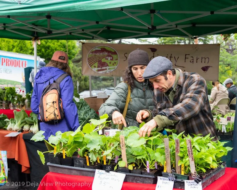 Artisan Food Festival 2019, Serendipity Farm. Photo by Deja View Photography. Thanks, Deja!
