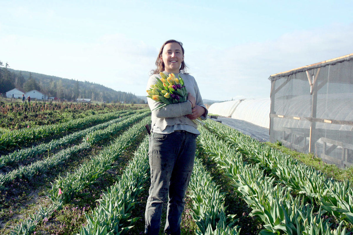 Peninsula Daily News, Julia Callahan holds a bouquet of tulips produced at Red Dog Farm in Chimacum. About 30,000 bulbs were planted at the farm last October and will be available throughout the year both at the farm, 406 Center Road, and at the Port Townsend Farmers Market, which opens at 9 a.m. Saturday in Uptown on Tyler Street. (Brian McLean/Peninsula Daily News), By Brian McLean , Friday, April 5, 2019 10:24am
