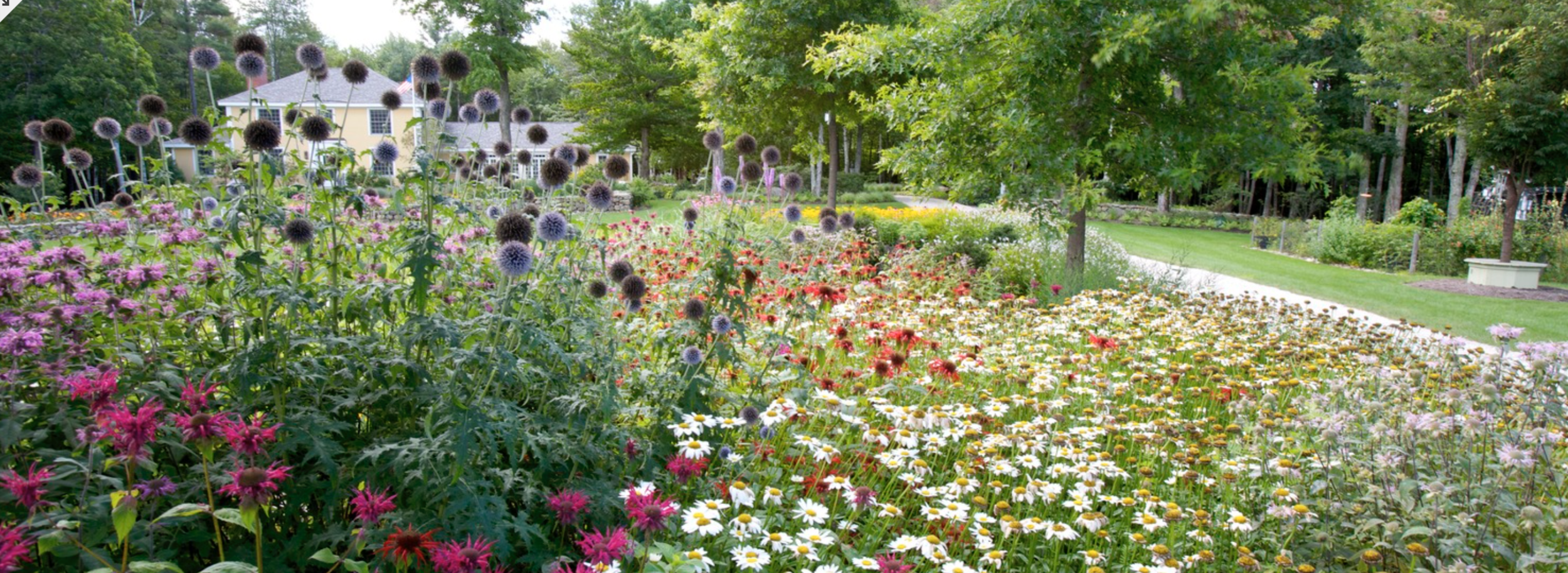 country estate on home page.png