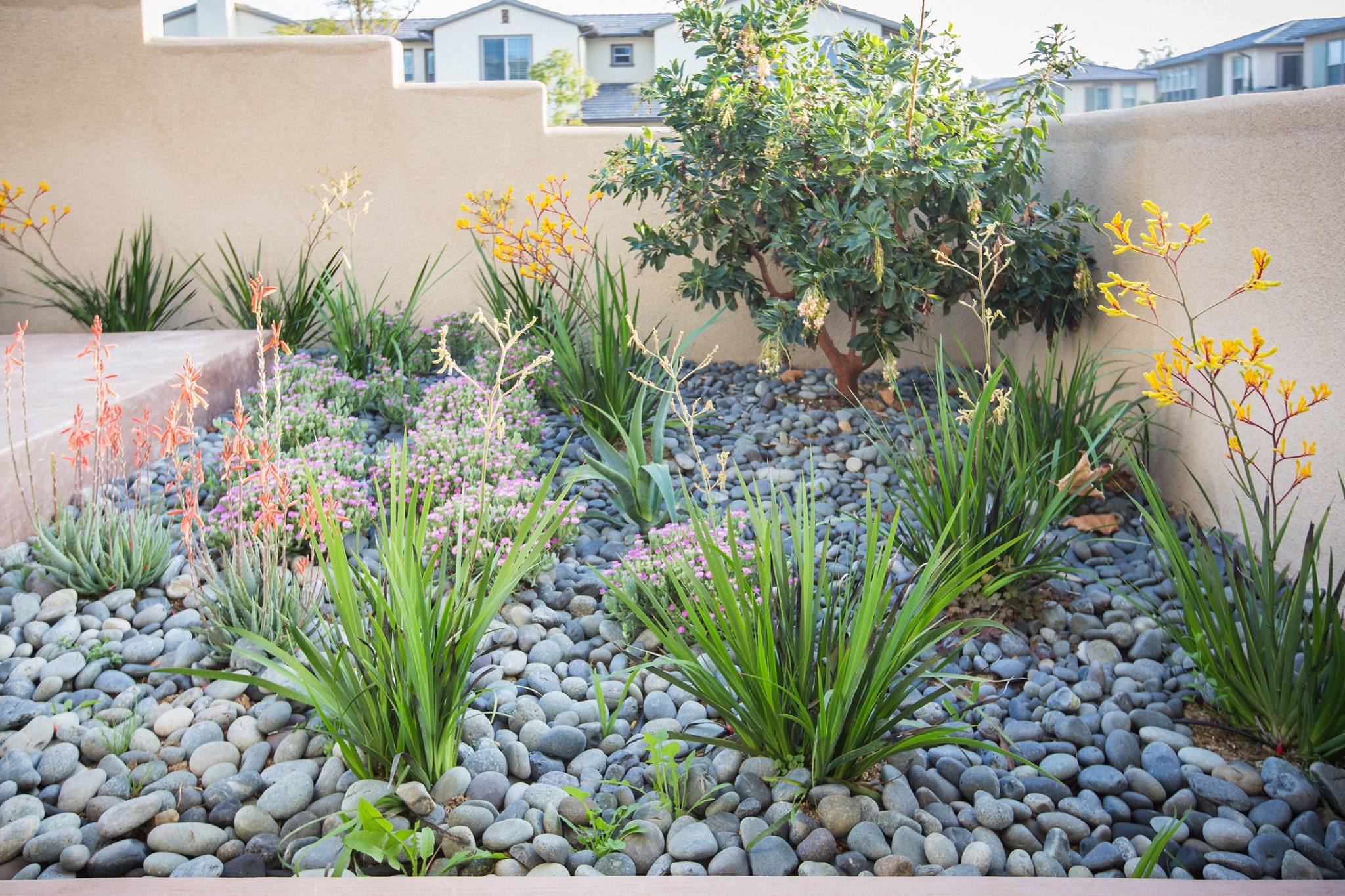 AllScape Design + Installation Completed Project