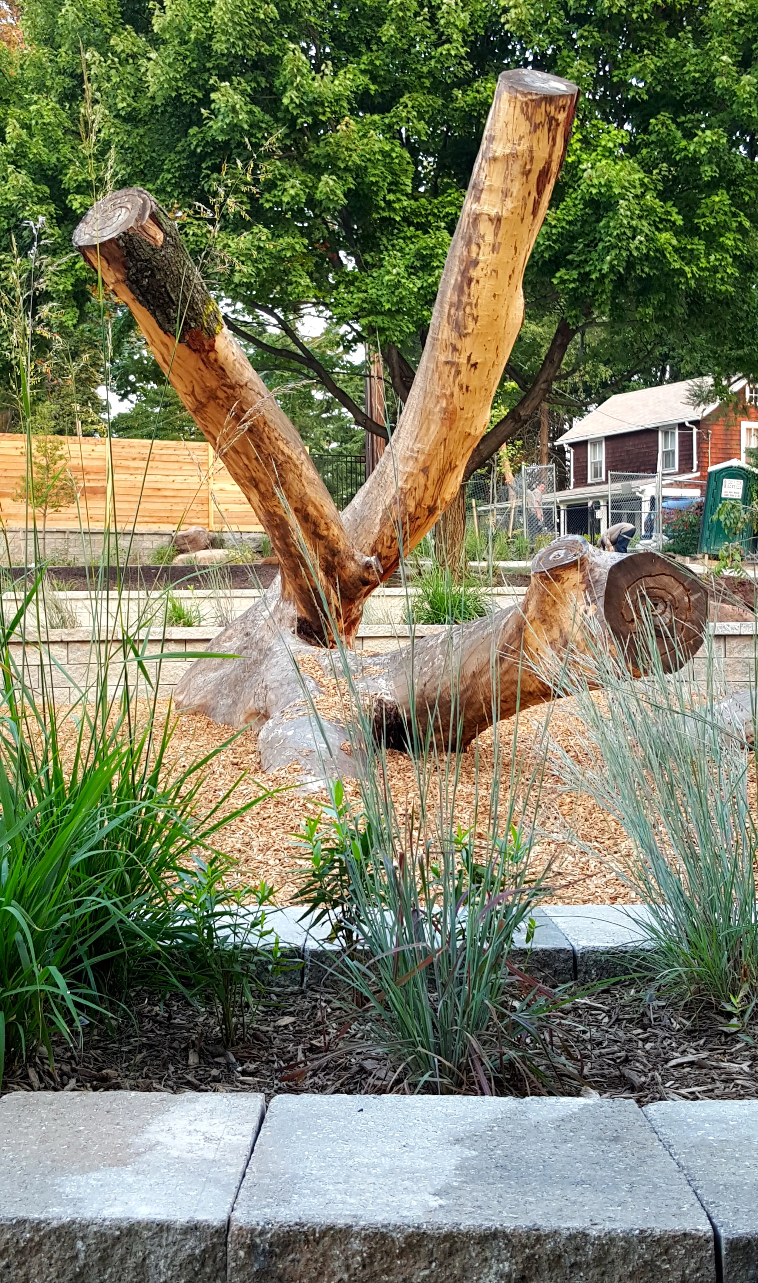 Fallen Log_View toward Lee St_20150903.jpg