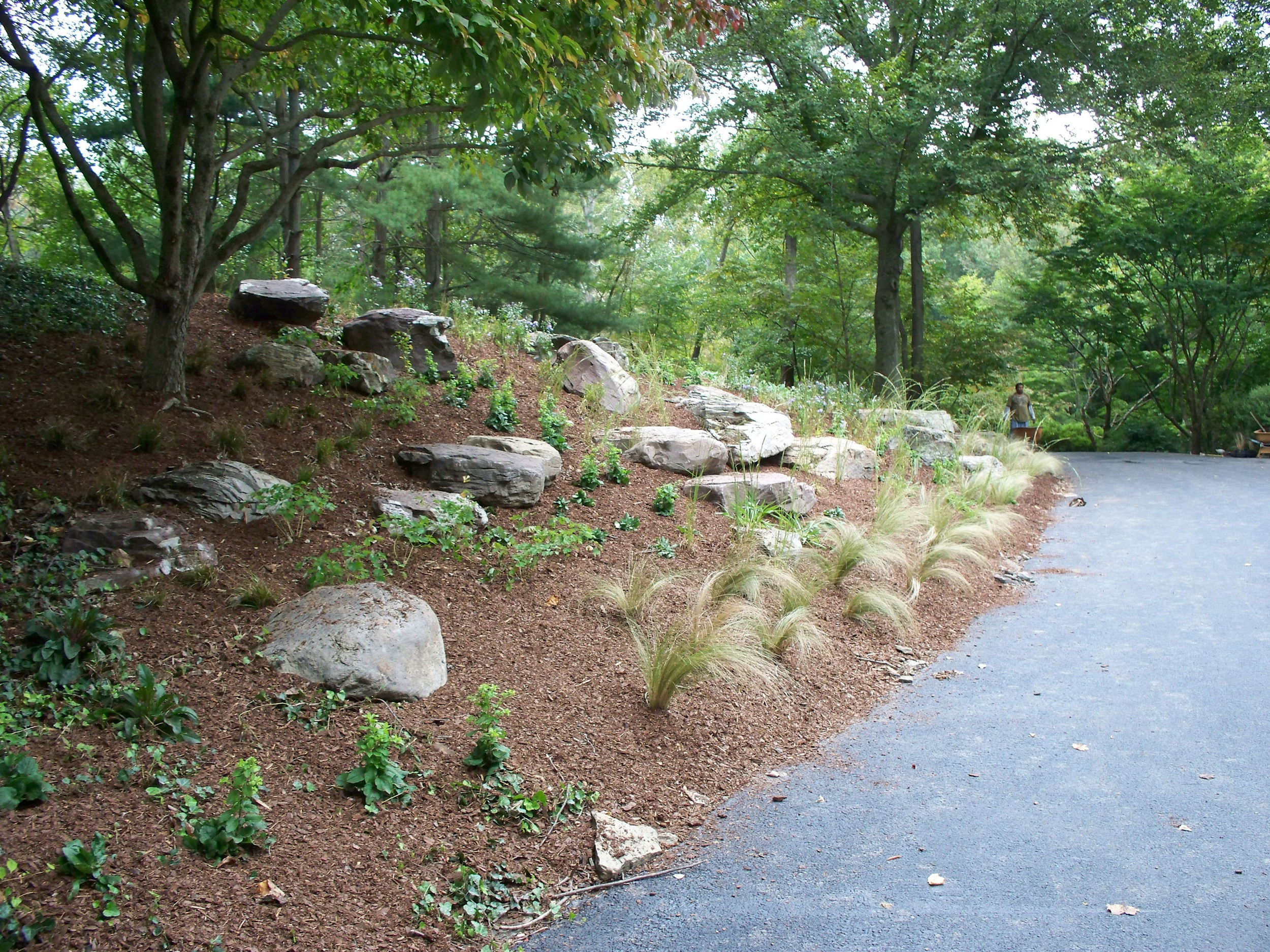 Sullivan_Boulder Slope w Plantings 2.jpg